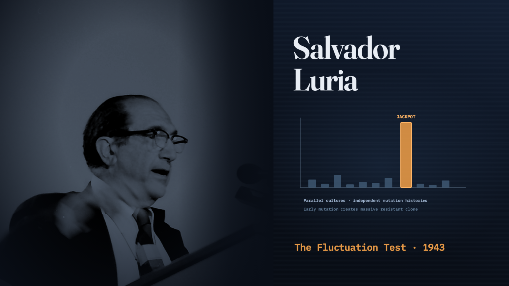 Black and white portrait of Salvador E. Luria speaking at a podium during the 1981 Lindau Nobel Laureate Meeting.
