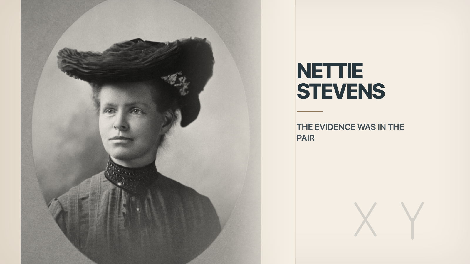 Nettie Stevens à gauche d'une couverture éditoriale épurée avec un discret motif de chromosomes et l'idée que la preuve était dans la paire.