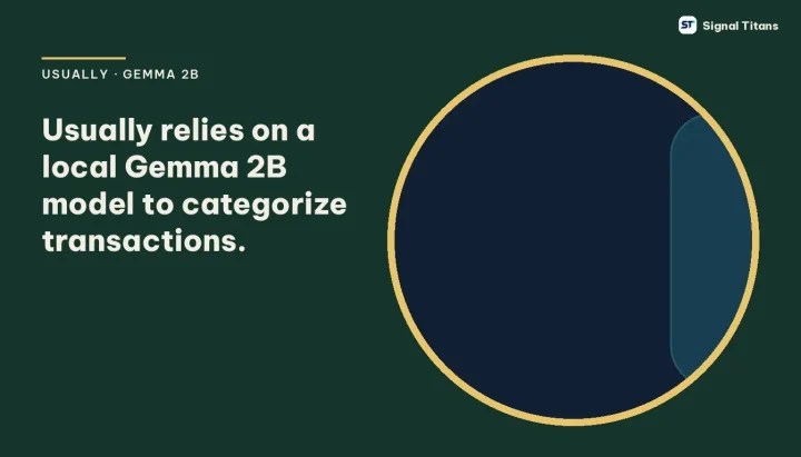Usually · Gemma 2B: Usually relies on a local Gemma 2B model to categorize transactions.